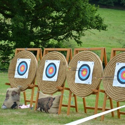 Thor-Odin-Ragnar-CO-Tir a larc-Luge