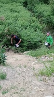 2017-06-24 11-11-48-DSC 0425.JPG