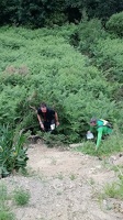 2017-06-24 11-11-50-DSC 0426.JPG