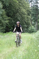 IMG 4218