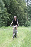 IMG 4219