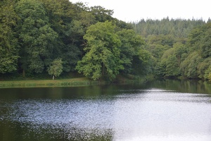 DSC 0002