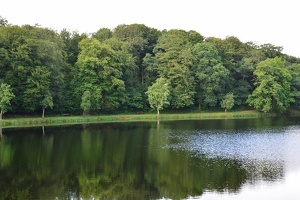 DSC 0003