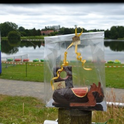 Accueil-orga-Adultes