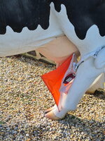 vache-2025-11-10-230731 002