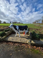 vache-2025-11-10-230731