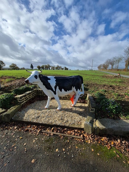 vache-2025-11-10-230731.jpeg